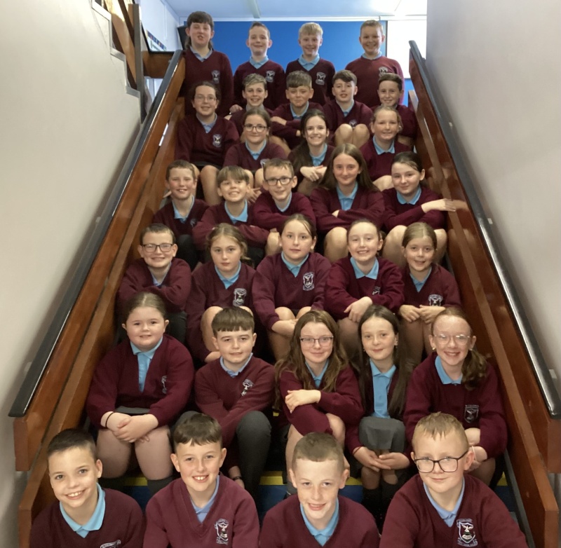 Year 7 